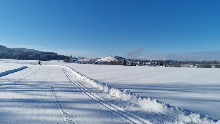 Schönau-Berg Runde