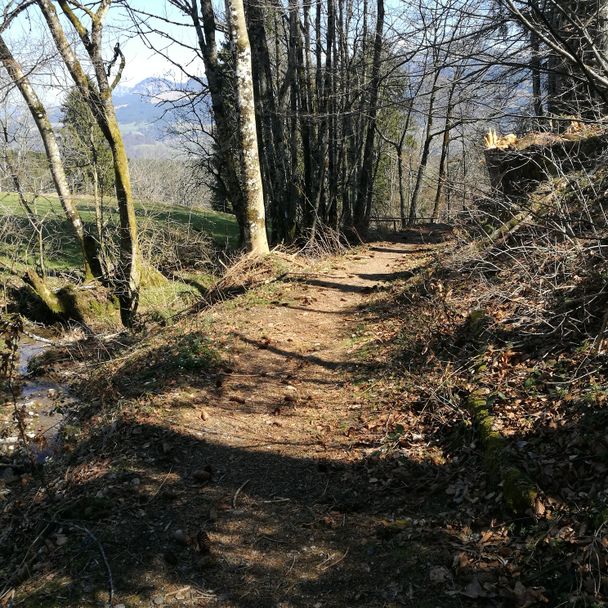 Feldweg am Bachlauf