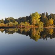 Waldsee