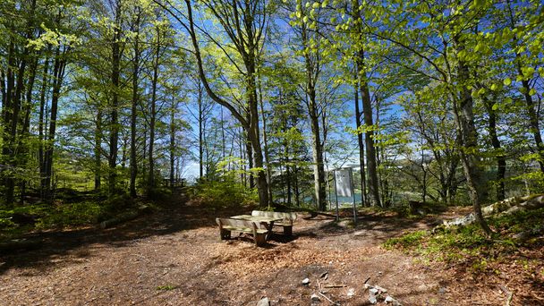 An der Ruine Rothenfels