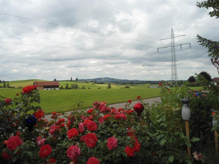 Blick zum Auerberg