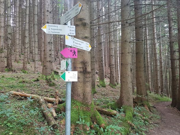 Wanderbeschilderung zur Burgruine Hopfen