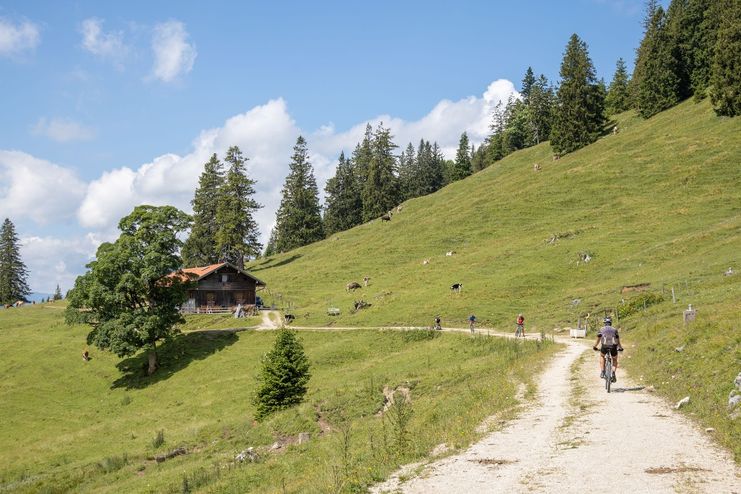 Mountainbiker auf dem Weg zur Bärenmoosalpe