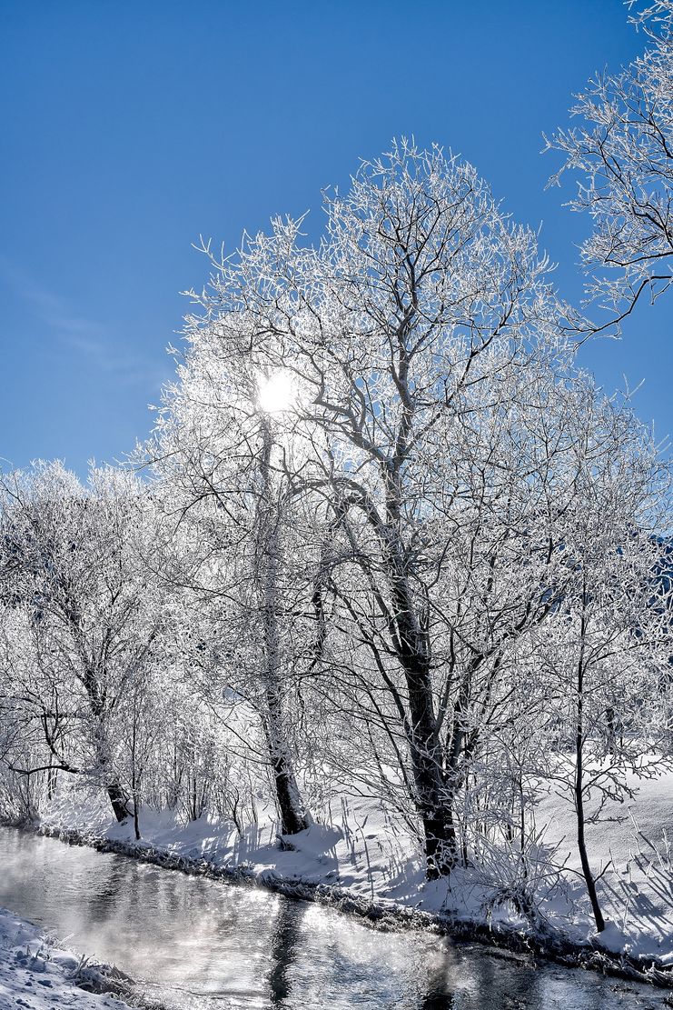 Winterwanderweg Richtung Adlerhorst