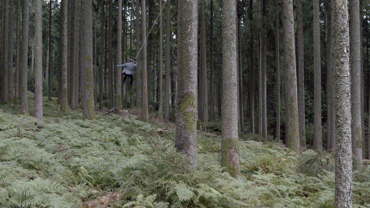 Jonas Maria Ried: Circling Trees, 2022, Video still